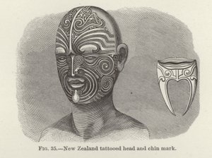 Tête tatouée et marque de menton de Nouvelle-Zélande - American School