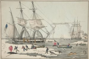 Pêche à la baleine en mer du Nord, pub. 1860 - American School