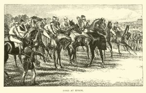 Chênes à Epsom
