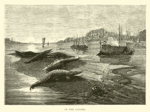 Sur le Gange - American School