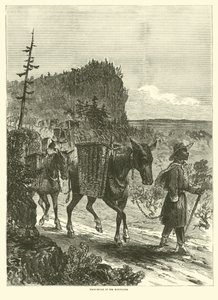 Mules de bât dans les montagnes, février 1863