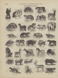 Page du dictionnaire complet de Webster (George Bell) - American School