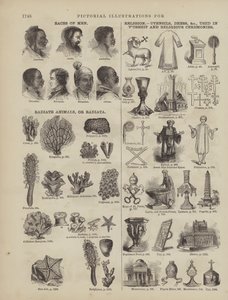 Page du dictionnaire complet de Webster (George Bell) - American School