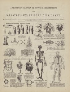 Page du dictionnaire complet de Webster (George Bell) - American School