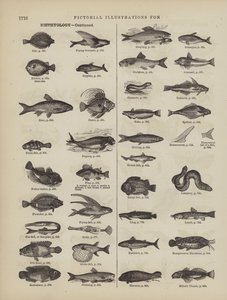 Page du dictionnaire complet de Webster (George Bell) - American School