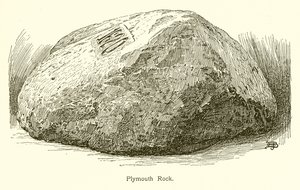 Plymouth Rock - American School