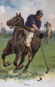 Polo (colour litho)