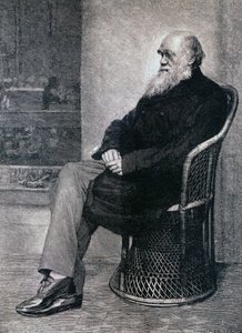 Portrait de Charles Darwin - American School