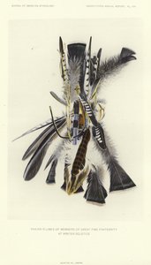 Panaches de prière des membres de la grande fraternité du feu au solstice d