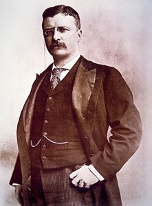 Le président Theodore Roosevelt (lithographie) - American School