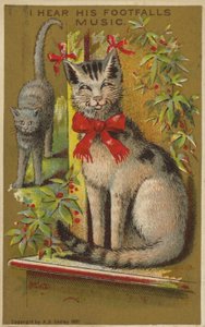 Chat fier et souriant - American School