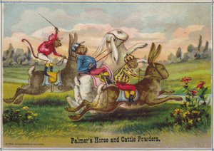 Lapins en course - American School