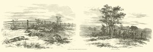 Scènes sur le champ après la bataille, septembre 1862 - American School