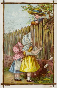 Voler des pommes - American School