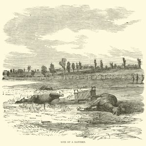 Site d
