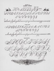 Lettres standard ; Main de dame ; Capitales de bras entier - American School