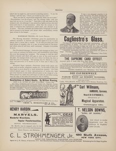 Stevenson, Publicités - American School