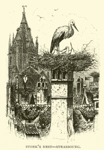 Nid de cigognes, Strasbourg - American School