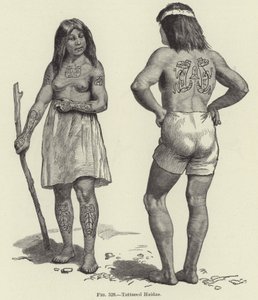 Haidas tatoués - American School