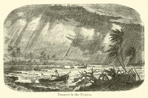 Tempête dans les tropiques - American School