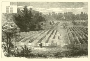 Les cimetières d