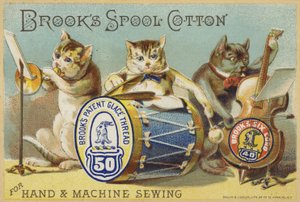 Le groupe de chats