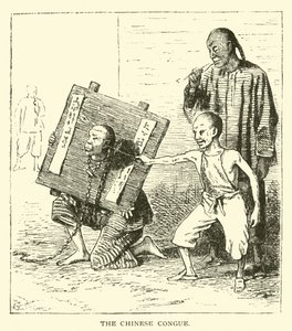 Le Congue chinois - American School