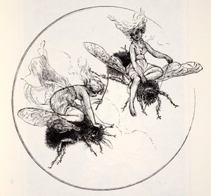 Les fées, du Guide mondial des gnomes, fées, elfes et autres petits peuples de Thomas Keightley (1789-1872) publié en 1880 - American School