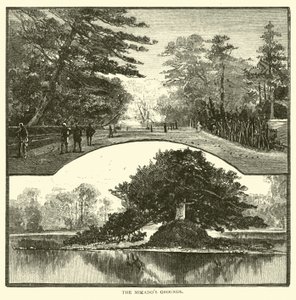 Les terrains du Mikado - American School