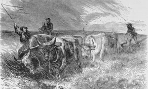 La Charrue de la Prairie, illustration de 
