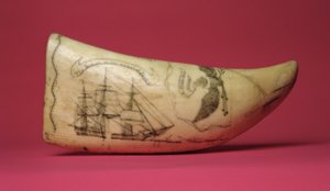 Le Susan sur la côte du Japon Scrimshaw (dent)