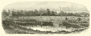 Le champ de blé où Reynolds est tombé, juillet 1863 - American School