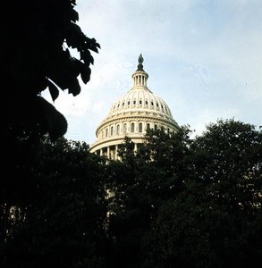 Le dôme du Capitole, 1793-1830 - American School