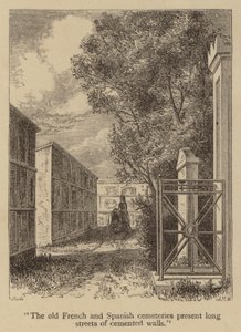 Les vieux cimetières français et espagnols présentent de longues rues de murs cimentés - American School