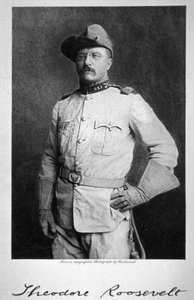 Théodore Roosevelt - American School