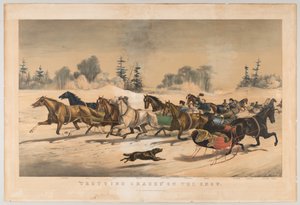 Courses de trot sur la neige - American School