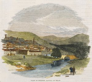 Vue de Houston, capitale du Texas, c. 1852 - American School