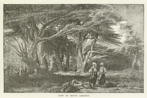 Vue du mont Liban - American School