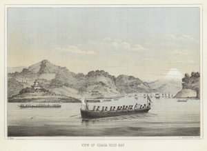 Vue d