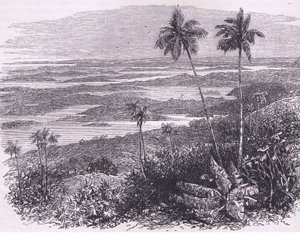 Vue des Bermudes, illustration de Cassell
