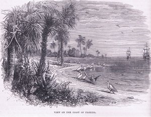 Vue de la côte de la Floride, illustration de l