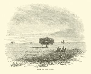 Vue sur le Teche, avril 1863 - American School