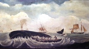 Chasse à la baleine dans le Pacifique Sud - American School