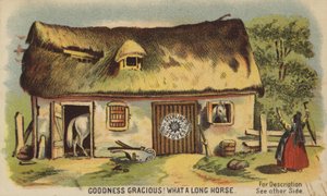 Quel long cheval