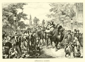 Jardin Zoologique - American School