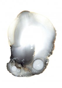 Exemple XI - Amy Louise Baker