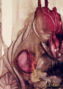 Tulipes dorées de rêve - Amy Tieman