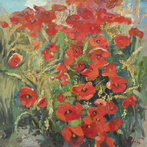 Champ de pavots en été