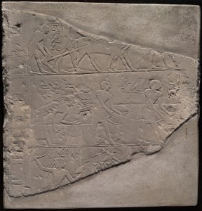 Fragment d