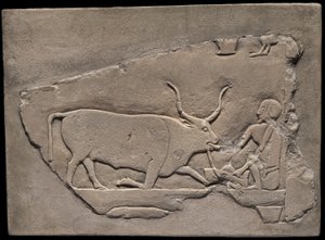 Fragment de mur d